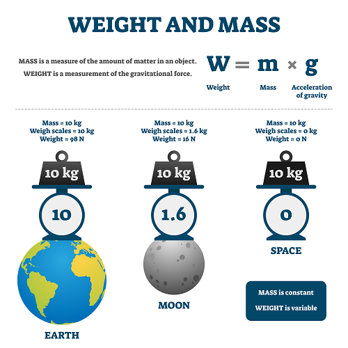 examples of gravity for kids